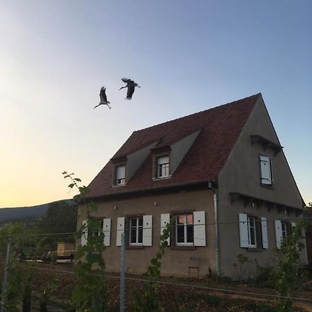 La Cle Du Vignoble Mittelbergheim Exterior photo