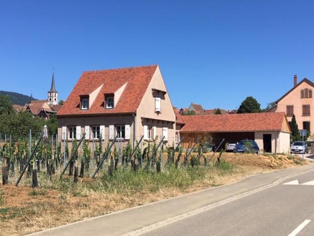 La Cle Du Vignoble Mittelbergheim Exterior photo